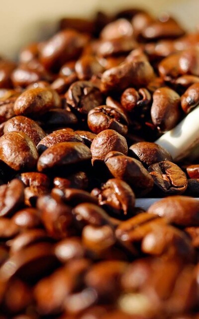 kaffeebohnen